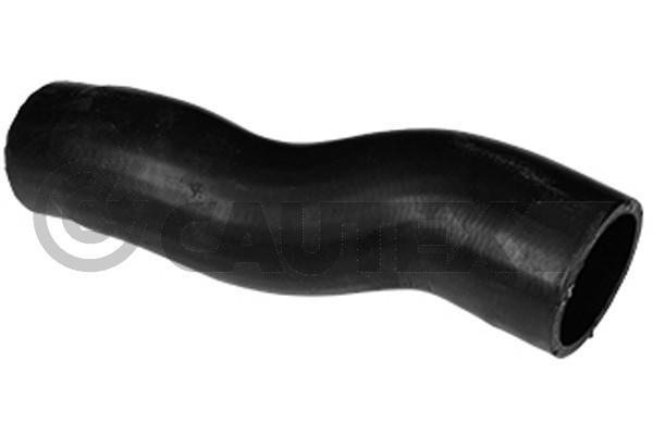 LEVEGŐCSŐ